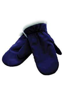Перчатки и варежки ACCENT 106-93а синий