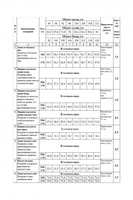 Брюки Femme & Devur 1622 1.36F(170)