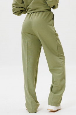 Брюки GO F2065/26-02. 170-176