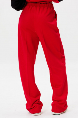 Брюки GO F2065/11-02. 164-170