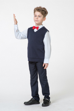 Жакеты и жилеты Франтишка Ш-3504-с-24с-69-с78 темно-синий