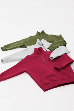 Толстовки и олимпийки GO F4087/12-01.170 вишня