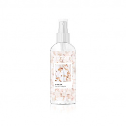 DILIS Mist Mystery of Touch