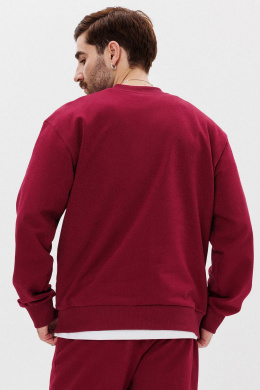 Толстовки и олимпийки GO M4107а/12-01. 176-182