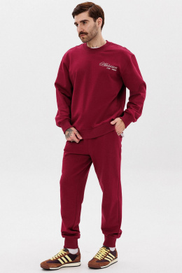 Толстовки и олимпийки GO M4107а/12-01. 176-182