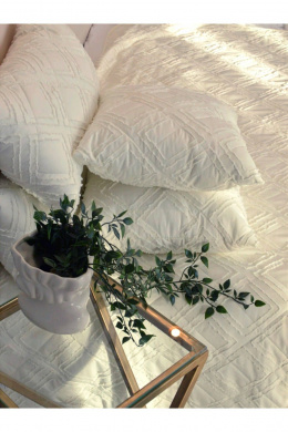 Покрывала и пледы Файбертек П.140х210.ПЭ.Shaggy Milk