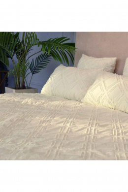 Покрывала и пледы Файбертек П.140х210.ПЭ.Shaggy Milk