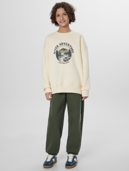 Mark Formelle 183410/25-36582П-7П хаки_печать1_2_сл_на_ЛВ_дет