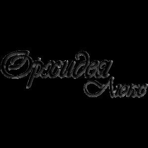 Орхидея