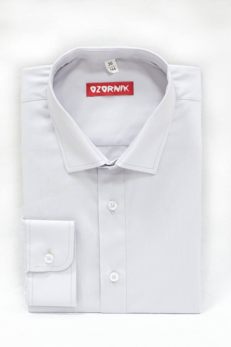 Рубашки с длинным рукавом Nadex 41-019212/202-23 бледно-серый