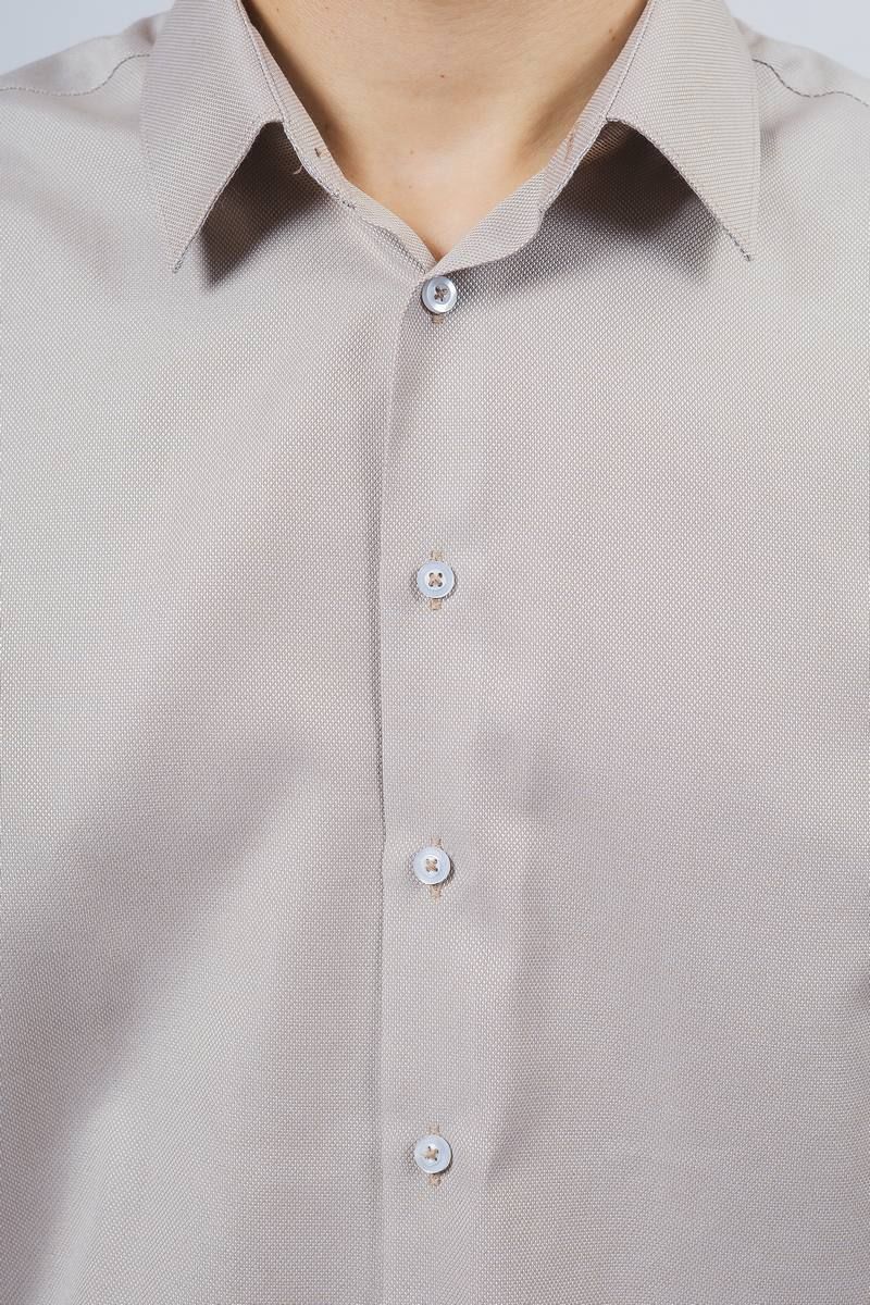 Рубашки с длинным рукавом Nadex 01-048612/203-23.170-176 темно-бежевый