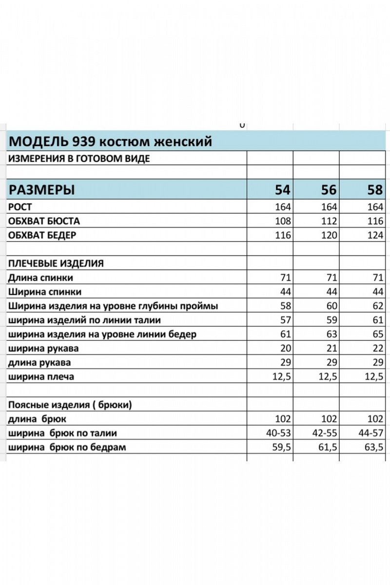 Брючный костюм БагираАнТа 939 василек