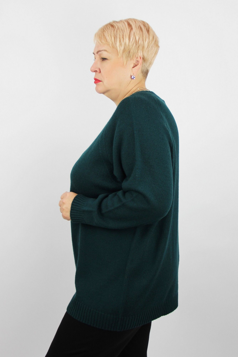 Джемперы Полесье С1716-23 4С8789-Д43 158,164 кедр