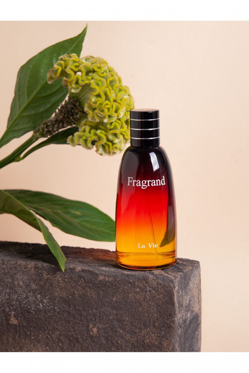 Для мужчин DILIS La Vie Fragrand