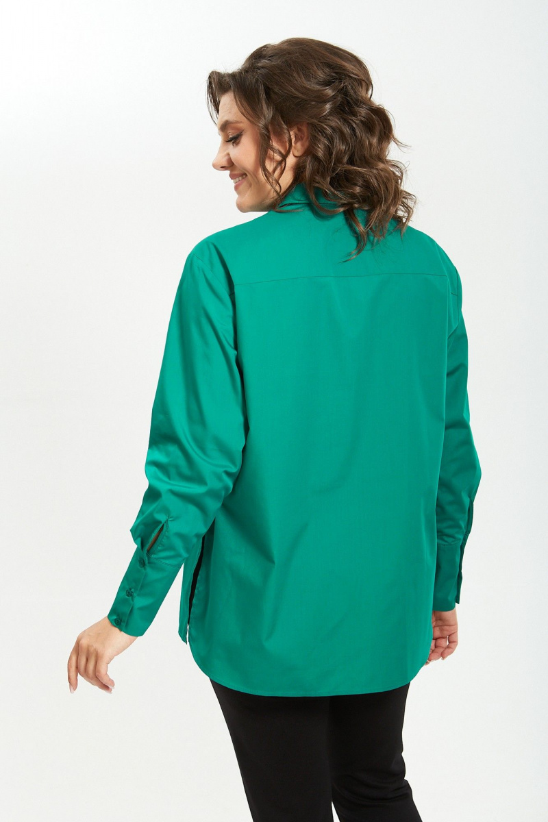 Рубашки Avenue Fashion 0301-10