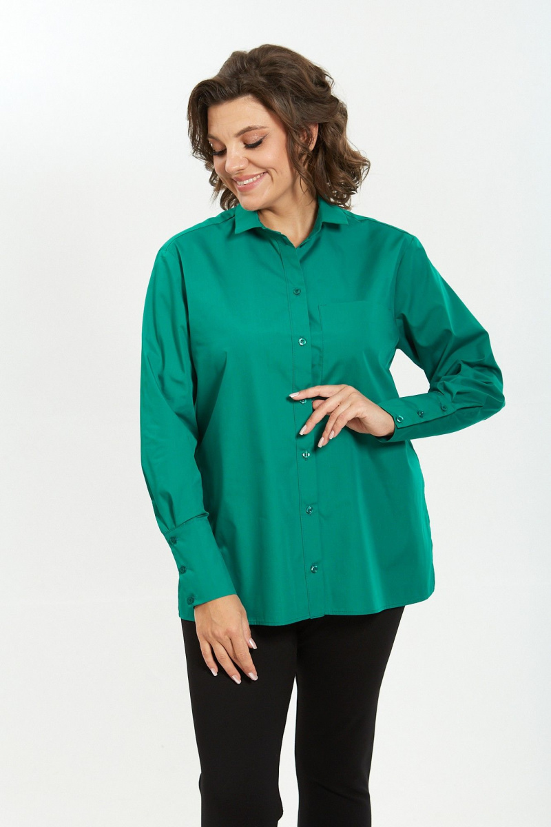 Рубашки Avenue Fashion 0301-10
