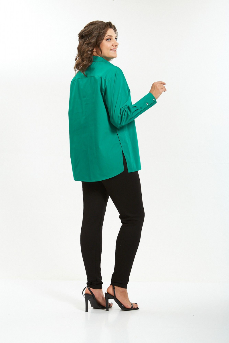 Рубашки Avenue Fashion 0301-10