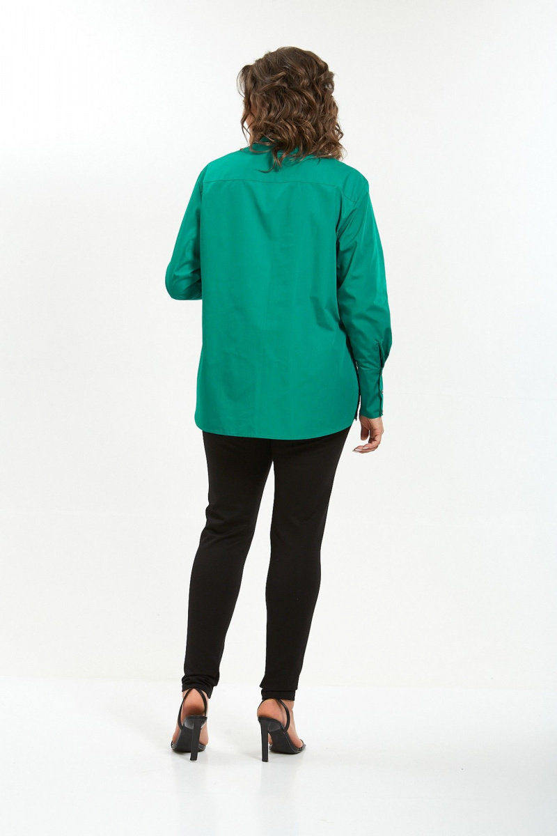 Рубашки Avenue Fashion 0301-10
