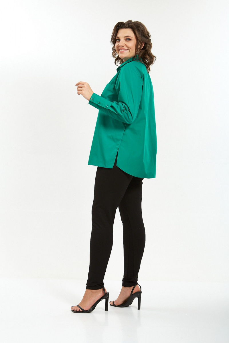 Рубашки Avenue Fashion 0301-10