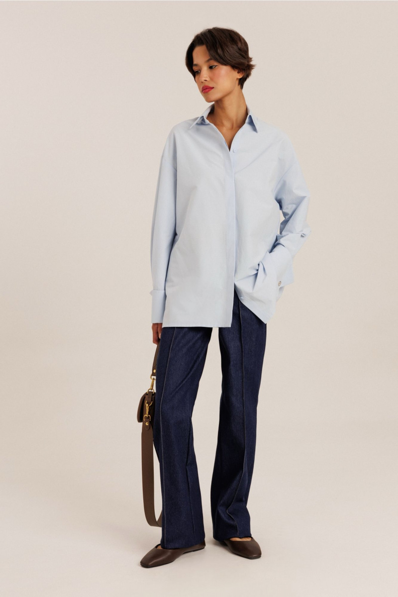 Блузы DiLiaFashion 6.003_2 голубой
