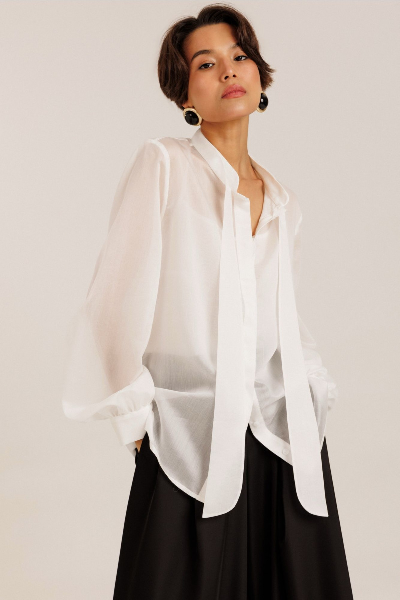 Блузы DILIA 6.006