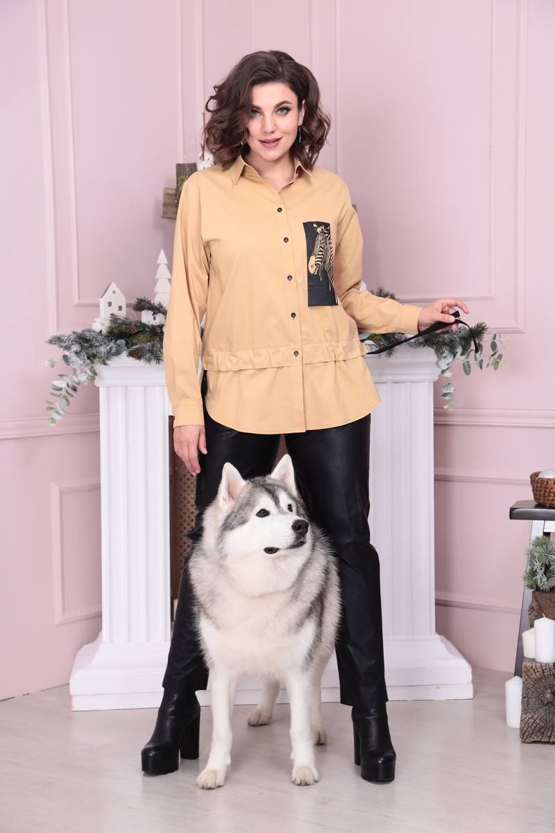 женские рубашки Danaida